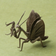 Illustration for article titled 17 Pieces of Origami From a Huge New Show About Paper Folding